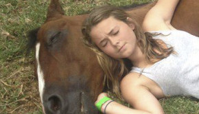 namorado cavalo thumb